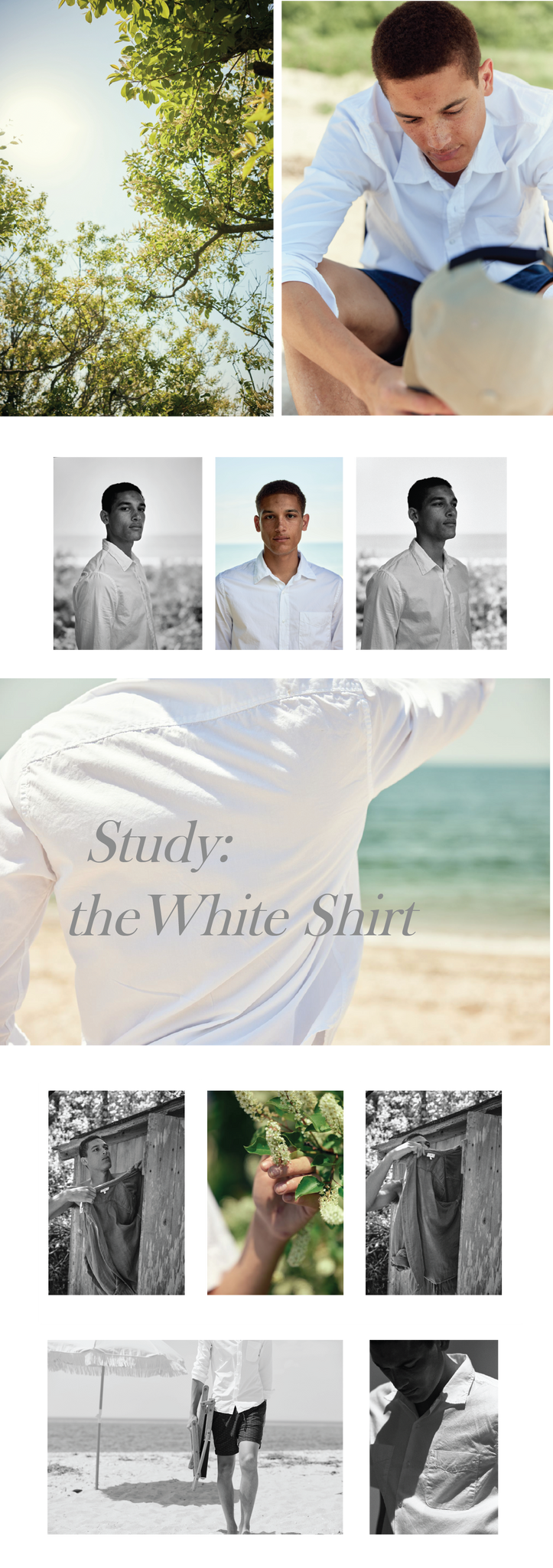 Study: the White Shirt