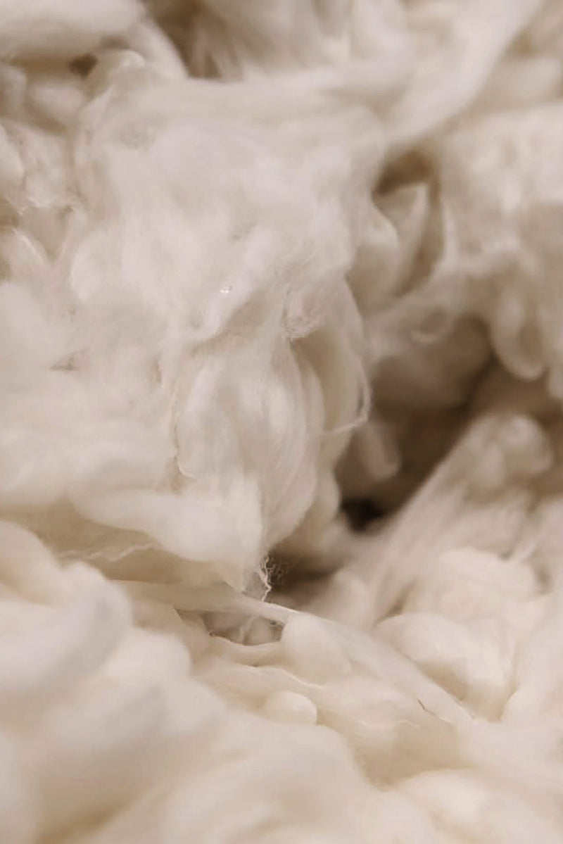 cashmere fiber