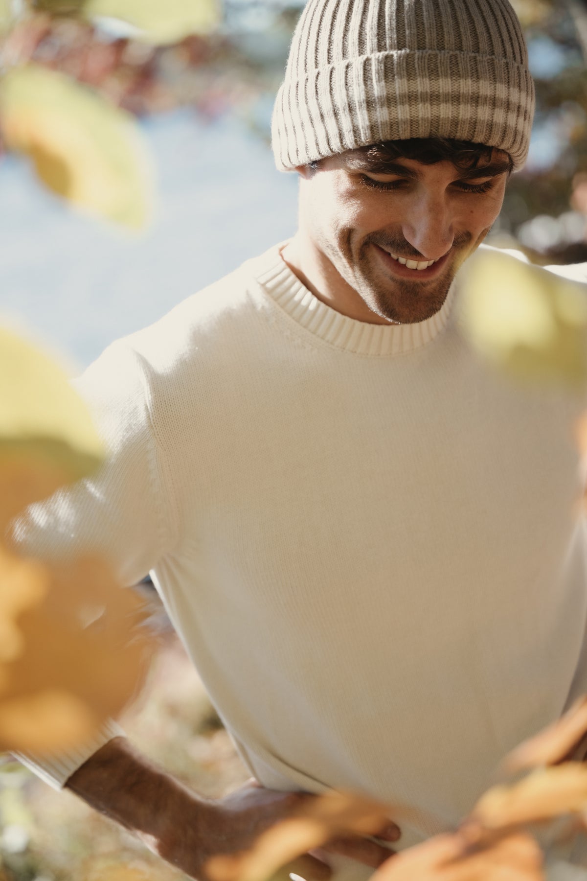 Cotton crew sweater, ribbed knit cuffs and hem, light cream color